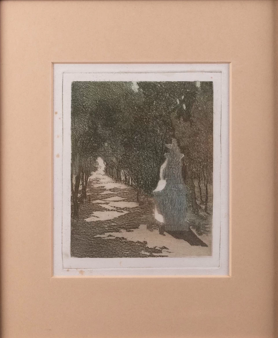 Viale alberato